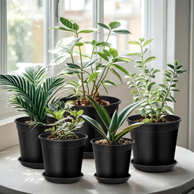 FUIJOL matching drip tray keeps floors dry