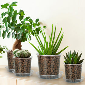 FUIJOL matching saucers keep floors clean and soil contained.