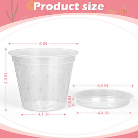 FUIJOL orchid pot with saucer set for tidy repotting and spill prevention.