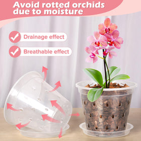 FUIJOL Orchid Pot ventilated holes for airflow and moisture control.