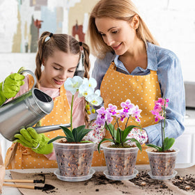 FUIJOL Orchid Pot versatile decor for indoor and outdoor spaces.