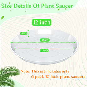 FUIJOL 12-inch saucer bottom diameter view highlights base size