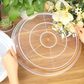 FUIJOL saucer beneath a pot demonstrates tidy water collection