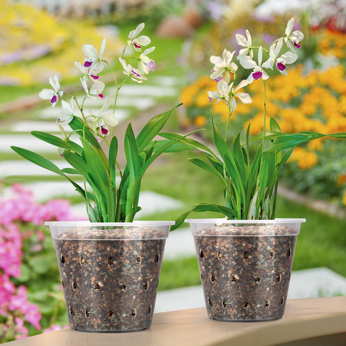 FUIJOL orchid pots holes facilitate drainage and air flow