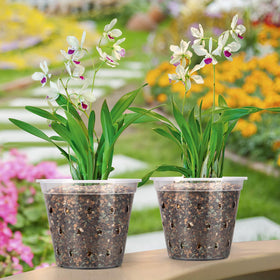 FUIJOL orchid pots holes facilitate drainage and air flow
