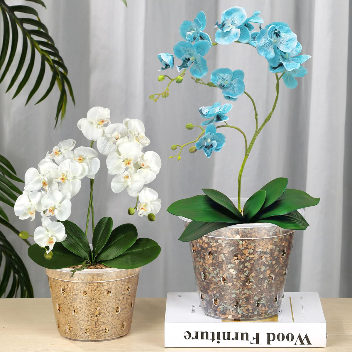 FUIJOL orchid pots near-transparent wall highlights ventilation
