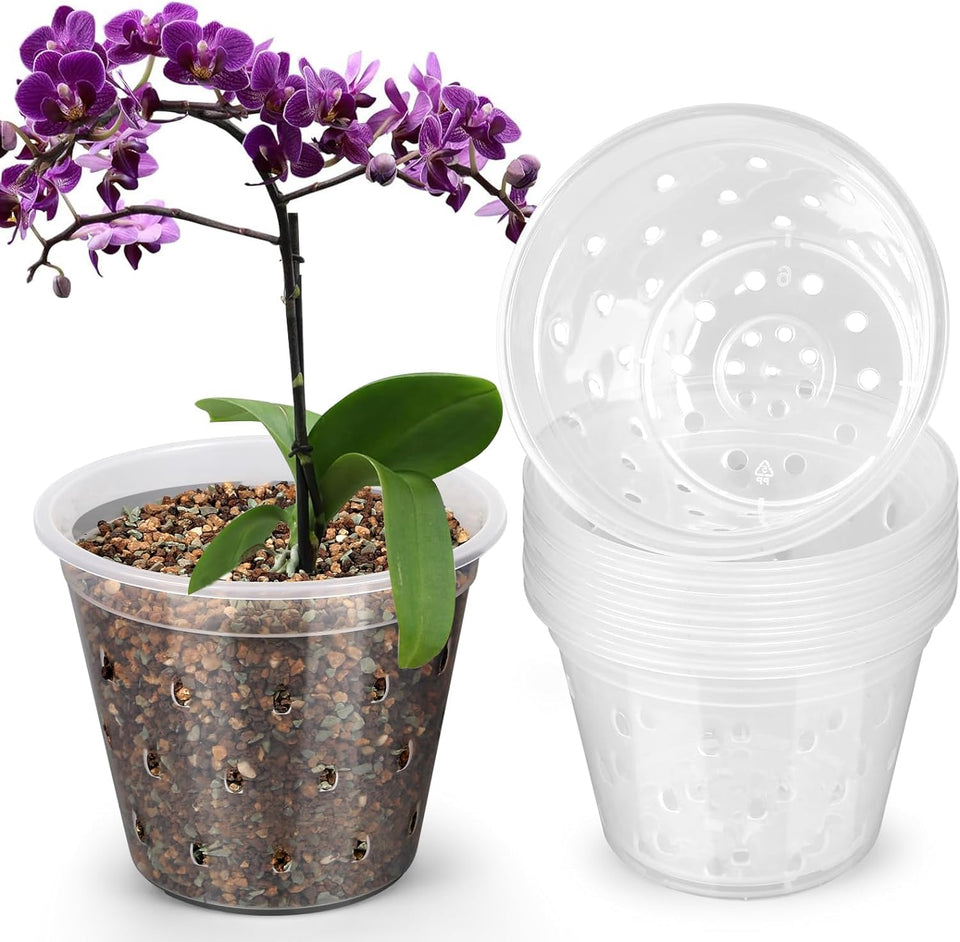 FUIJOL 3-inch clear orchid pot reveals roots for easy monitoring