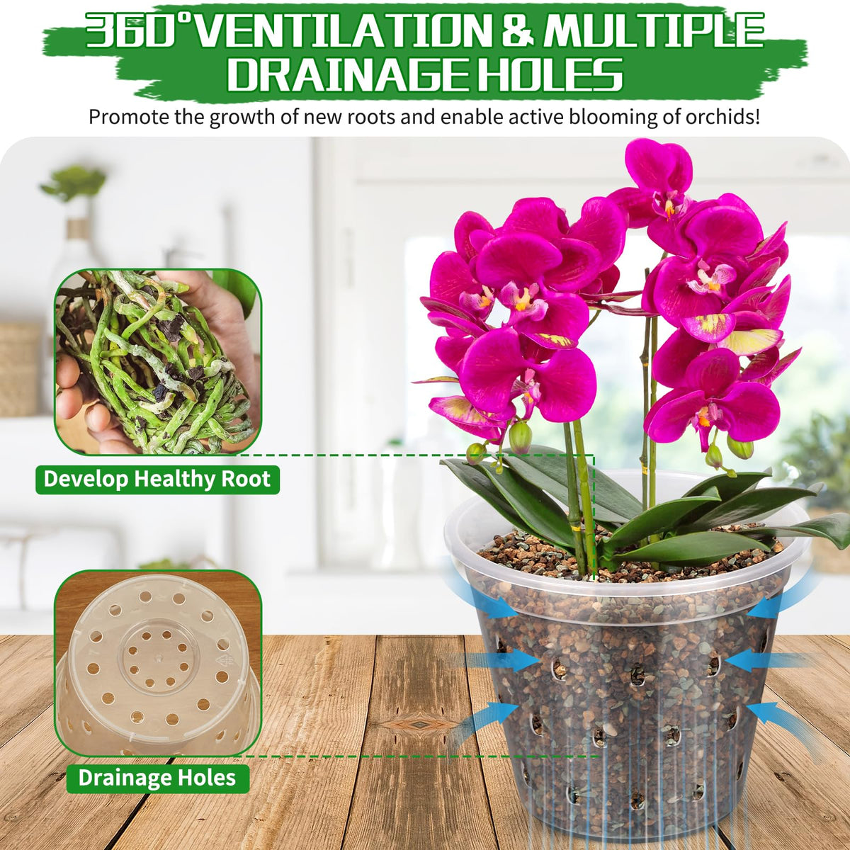 FUIJOL 4-inch clear orchid pot combines style with drainage