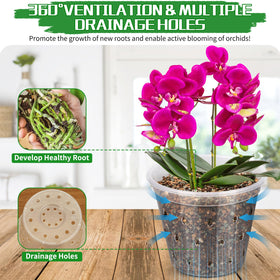 FUIJOL 4-inch clear orchid pot combines style with drainage