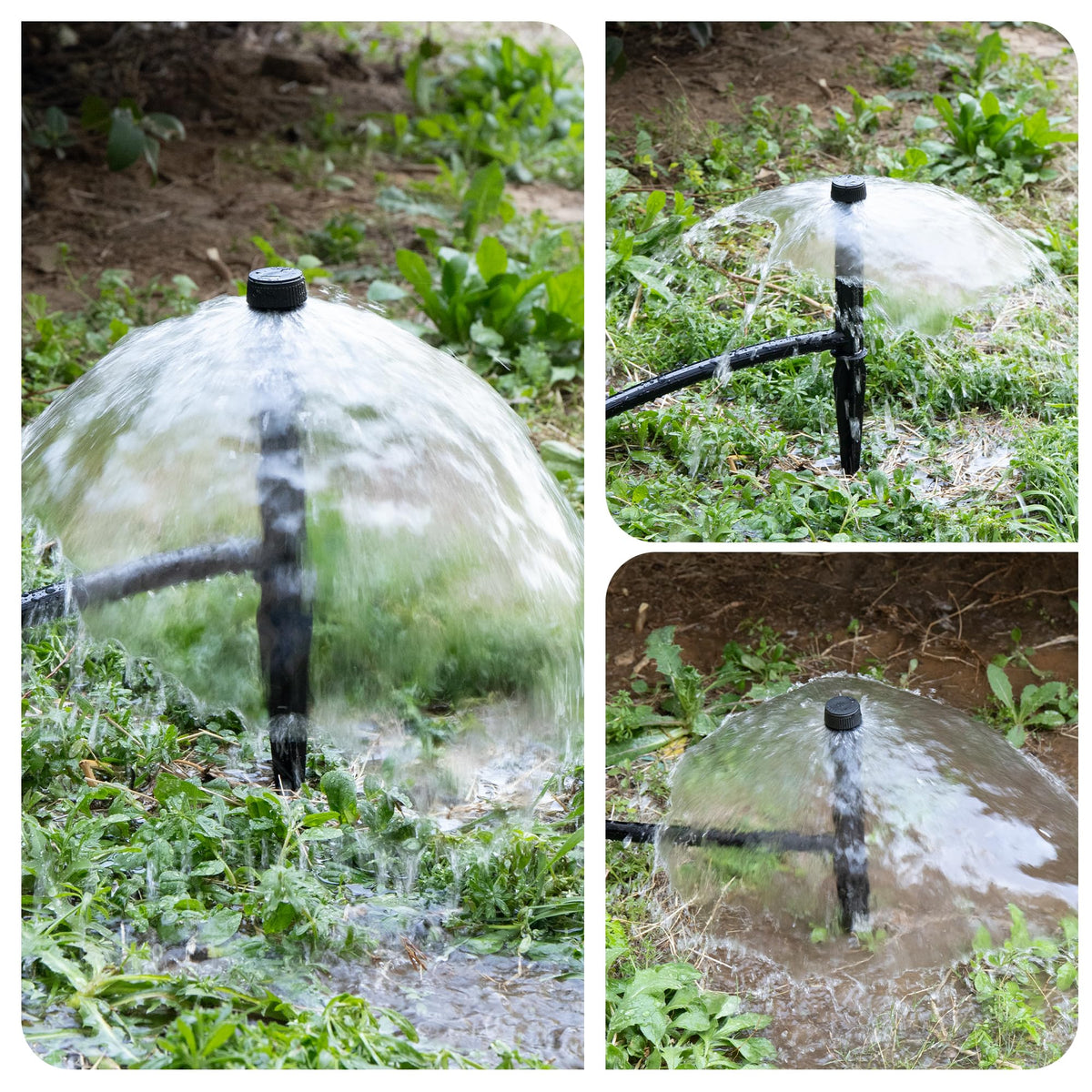 Fulaiergd bubbler head ideal for greenhouse and landscape irrigation scenarios.