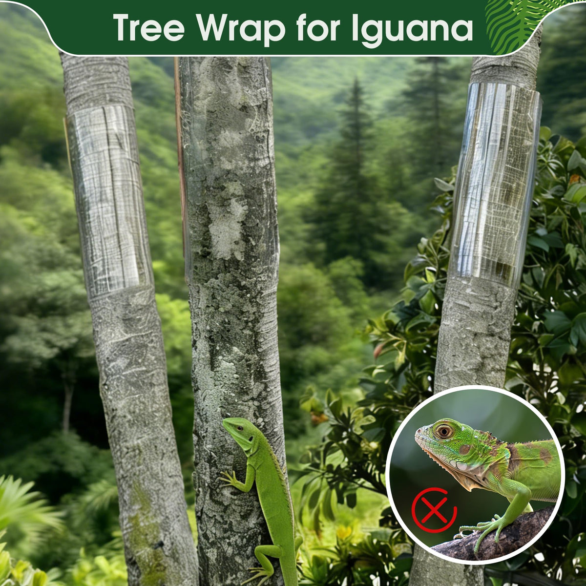Fulaiergd clear wrap allows light through for healthy growth.
