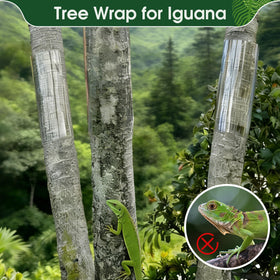 Fulaiergd clear wrap allows light through for healthy growth.