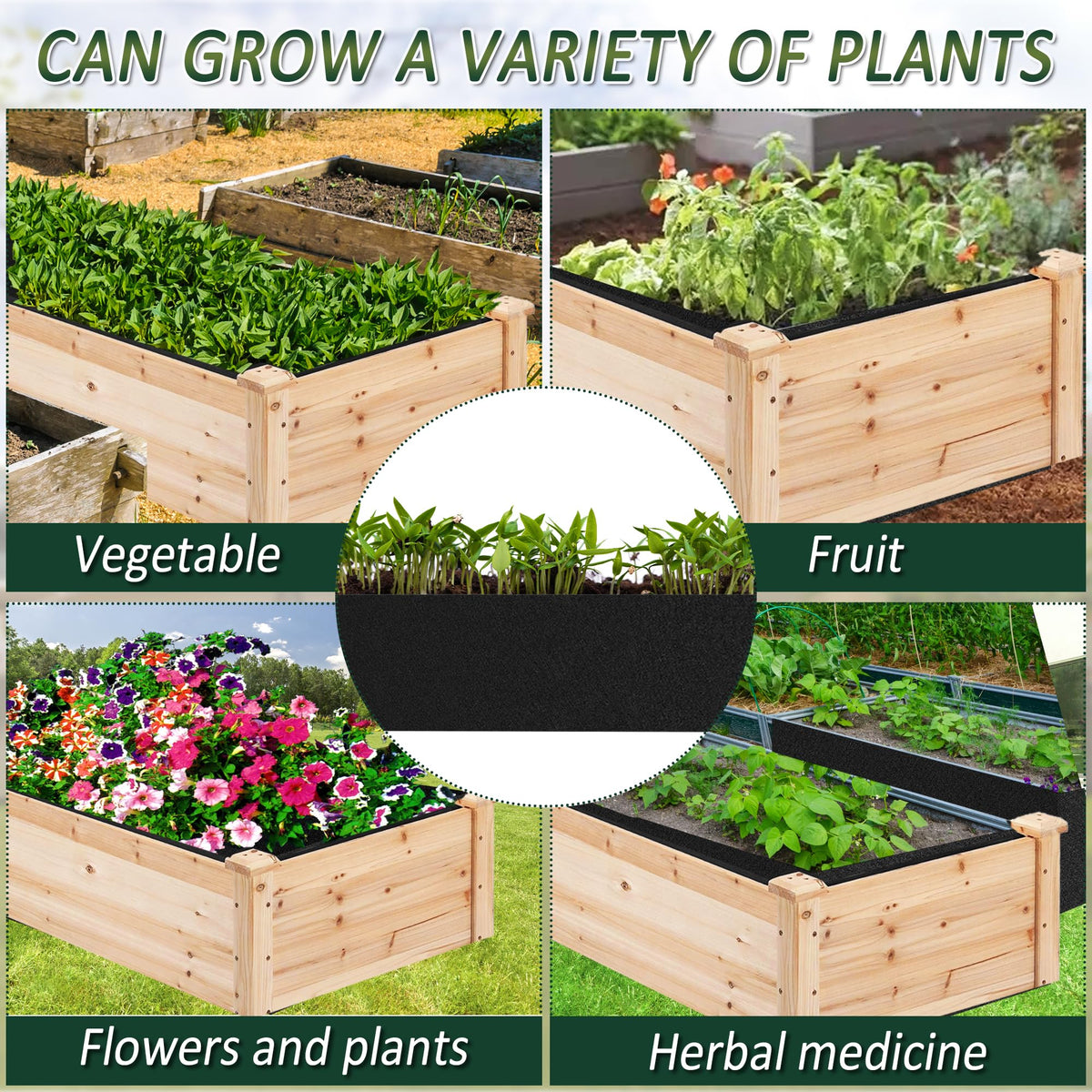 FULEIYA compatible with vegetables and herbs in small spaces.
