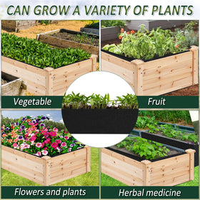 FULEIYA compatible with vegetables and herbs in small spaces.