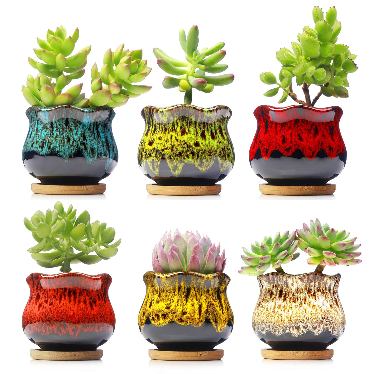 Fulloog six-pack ceramic succulent planters front view with vivid glaze for desk decor