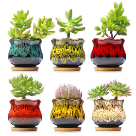 Fulloog six-pack ceramic succulent planters front view with vivid glaze for desk decor