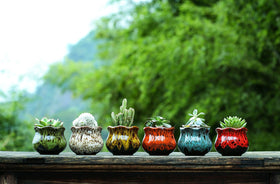 Fulloog six-pack planter side view highlighting sturdy terracotta and attached saucer