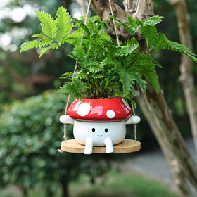 Fungi Fun compact planter is ideal for apartments and desks.