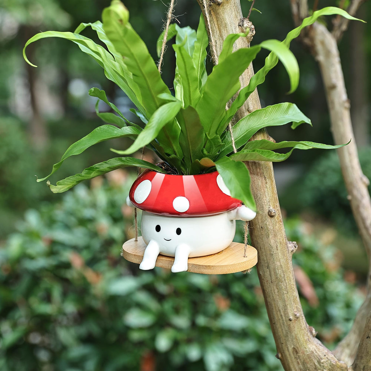 Fungi Fun red and white hanging planter complements string of pearls.