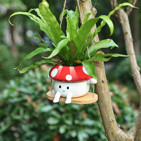 Fungi Fun red and white hanging planter complements string of pearls.