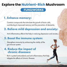 Fungiworks Lions Mane gift-pack presentation suitable for gardeners and food lovers