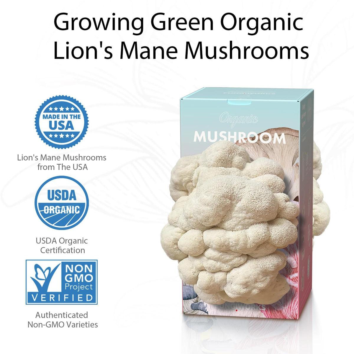 Fungiworks Lions Mane growth close-up highlights mycelium spread and potential harvest