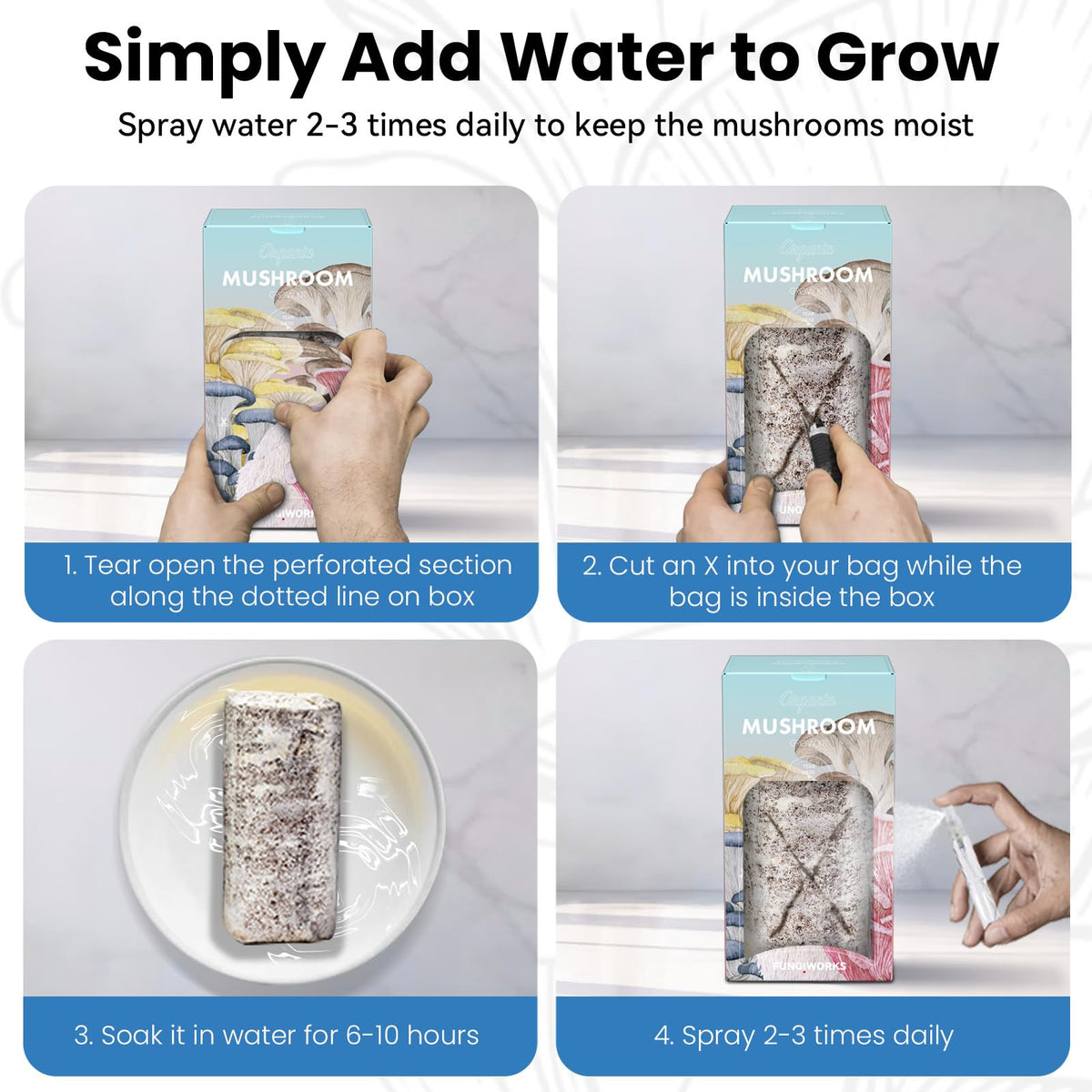 Fungiworks Simple steps open box, cut X, soak, spray for easy setup