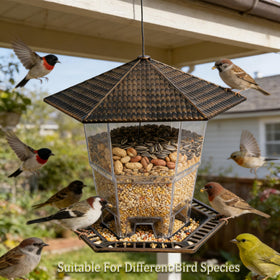 Funpeny bird feeder weather-resistant plastic withstands seasons outdoors.