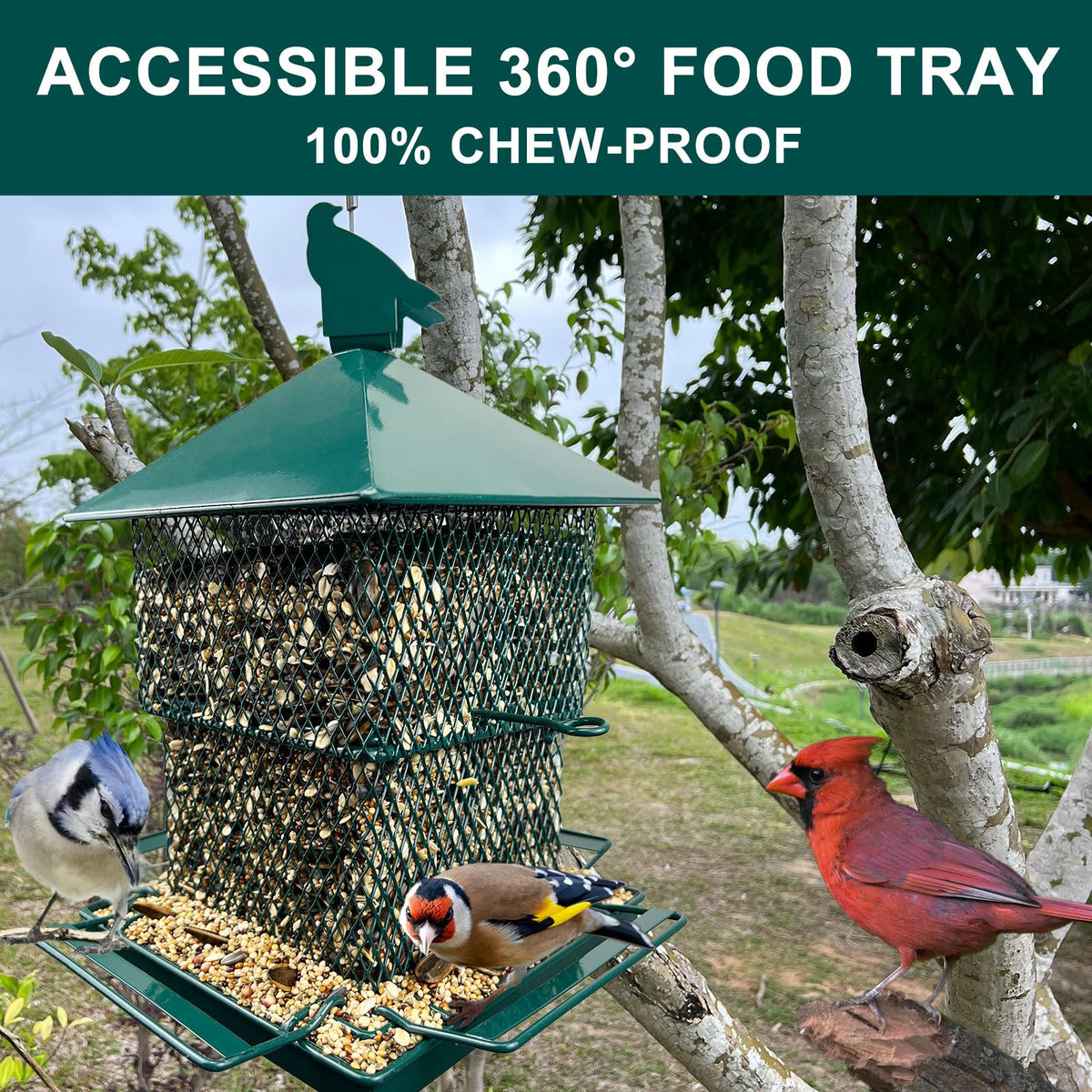 FUNWILDLIFE 360-degree feeding station lets birds feed from any side.