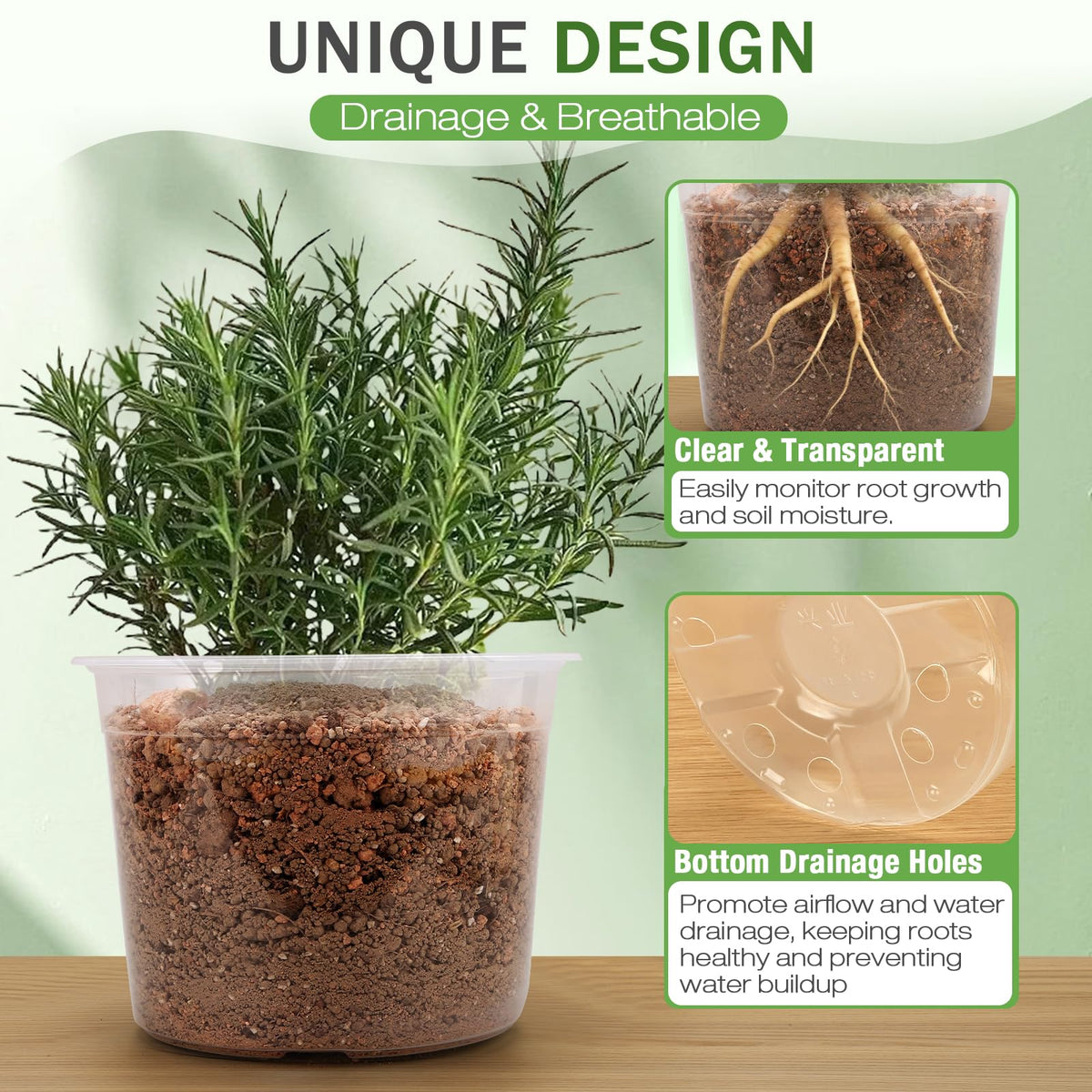 FUOAUYK 10-inch clear nursery pot with drainage supports larger plants.