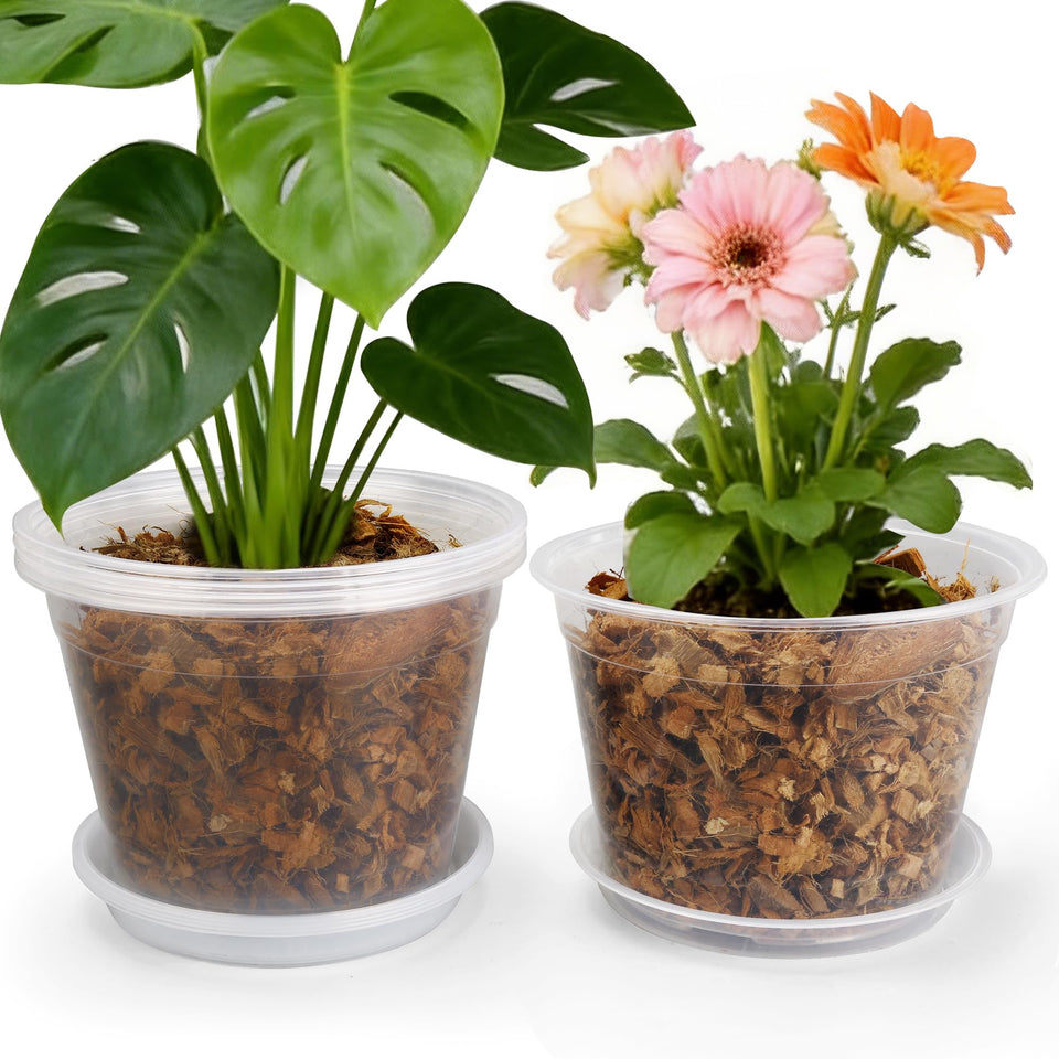 FUOAUYK 12-inch clear nursery pot with drainage and saucer for easy root observation.