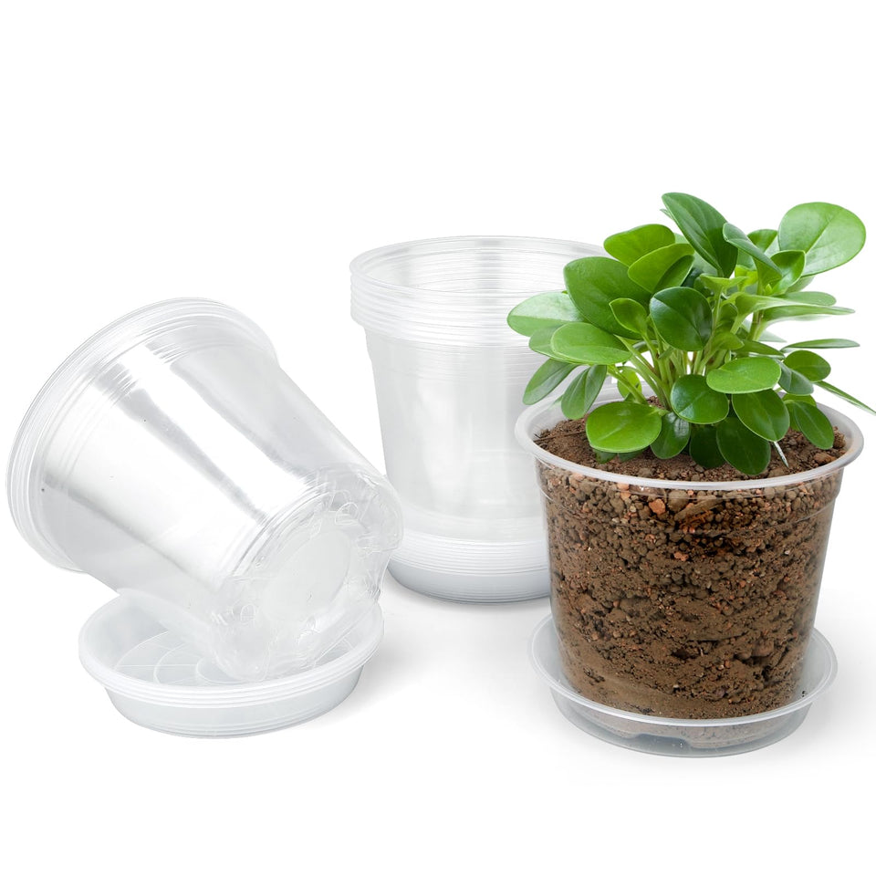 FUOAUYK 3-inch clear nursery pot with drainage tray setup for seedlings.