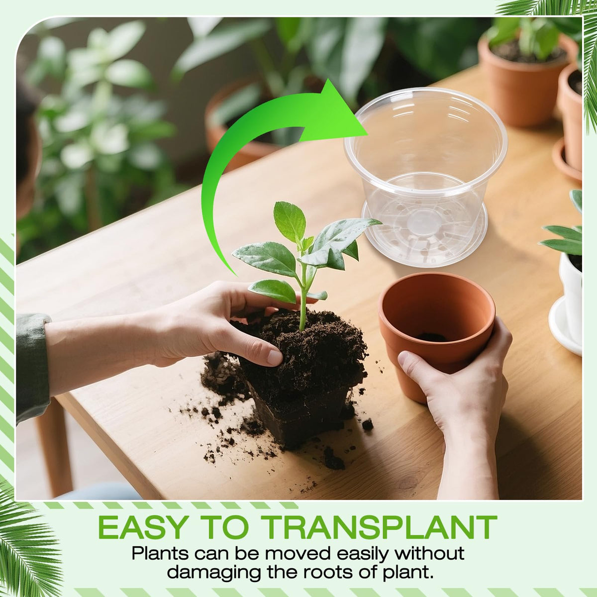 FUOAUYK 3-inch clear nursery pot with tray for seedlings