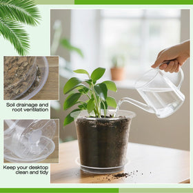 FUOAUYK 3-inch pot ideal for transplanting young plants.