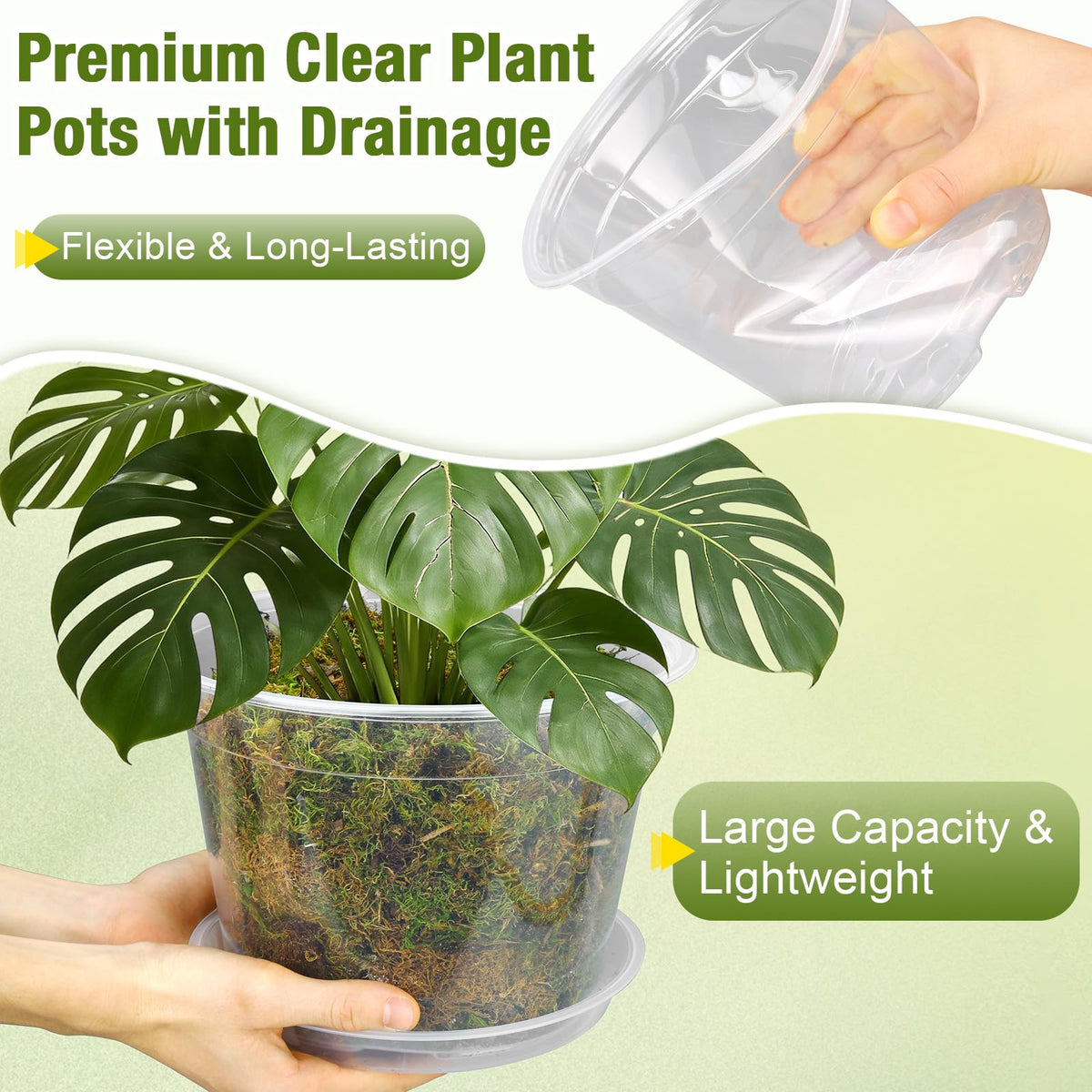 FUOAUYK 6 inch clear nursery pot with saucer supports indoor greenery