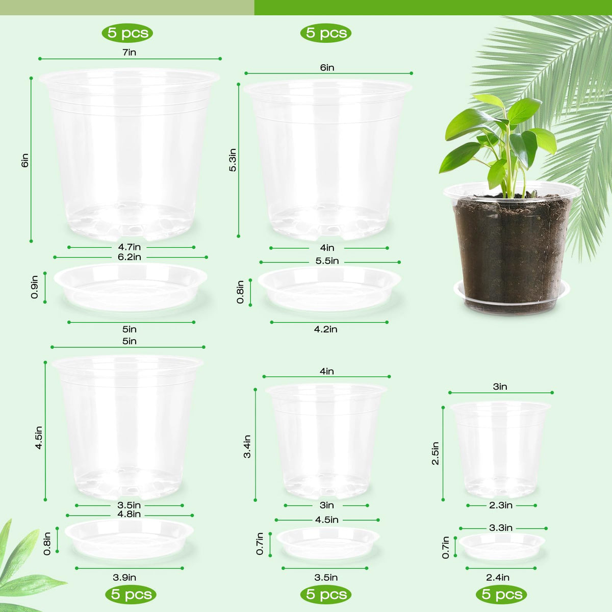 FUOAUYK 6-inch clear nursery pot with tray for healthy roots