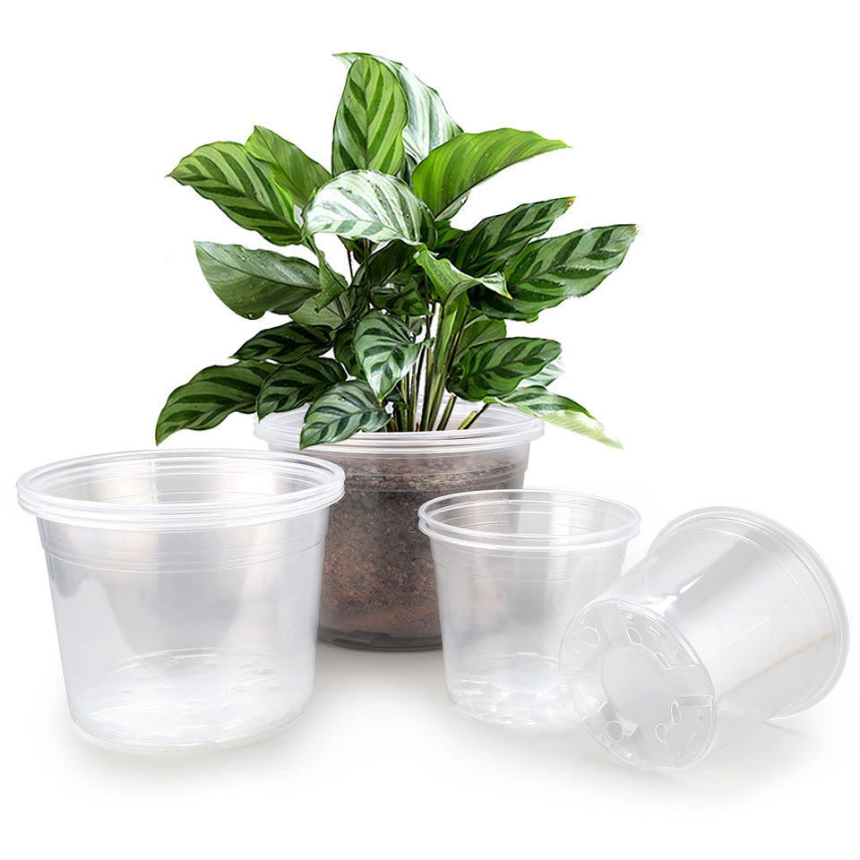 FUOAUYK 7-inch clear nursery pot with drainage for easy root monitoring.