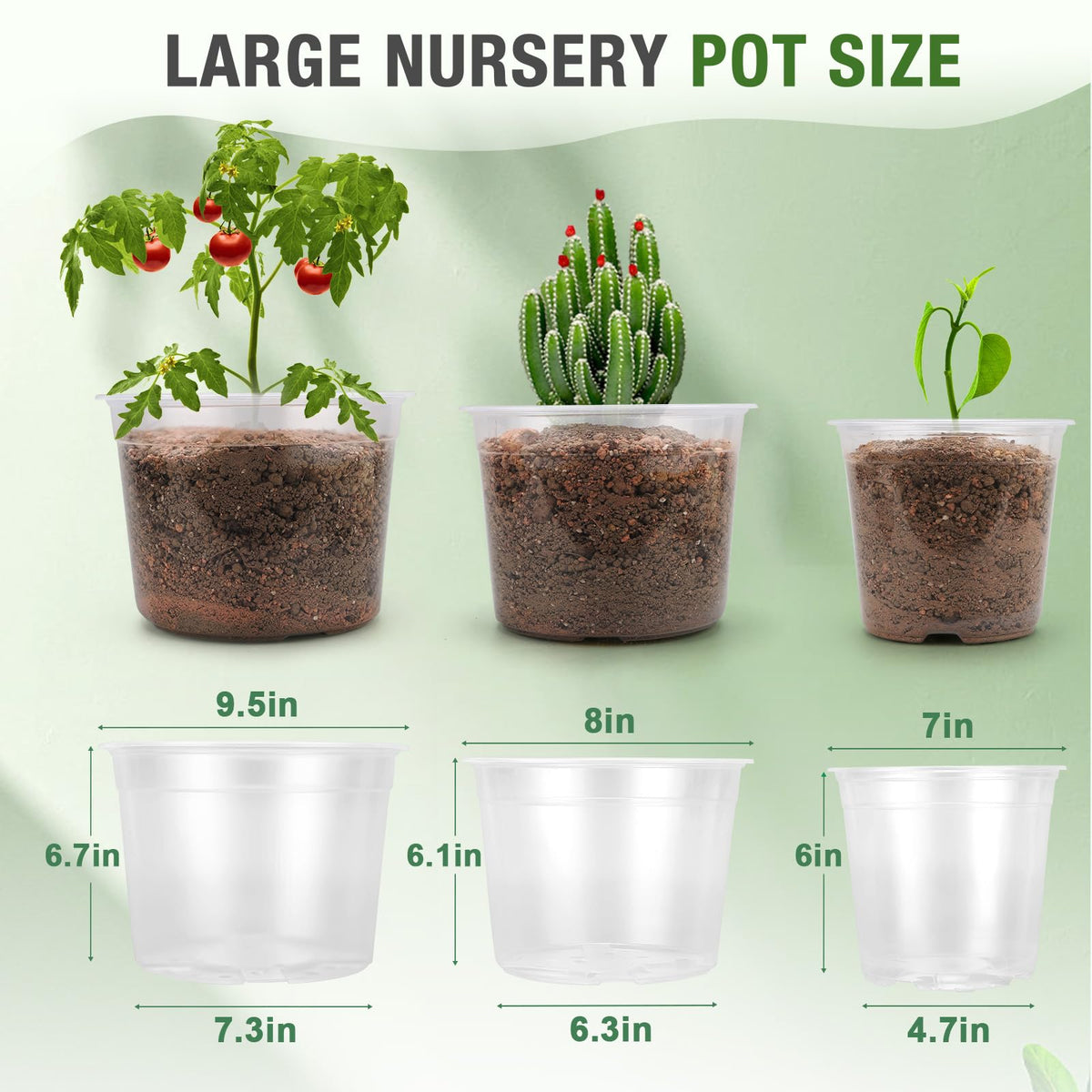 FUOAUYK 8-inch clear nursery pot with drainage for healthy transplanting.