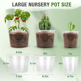 FUOAUYK 8-inch clear nursery pot with drainage for healthy transplanting.
