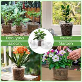 FUOAUYK multi-pack pot suitable for seed starting and transplanting.
