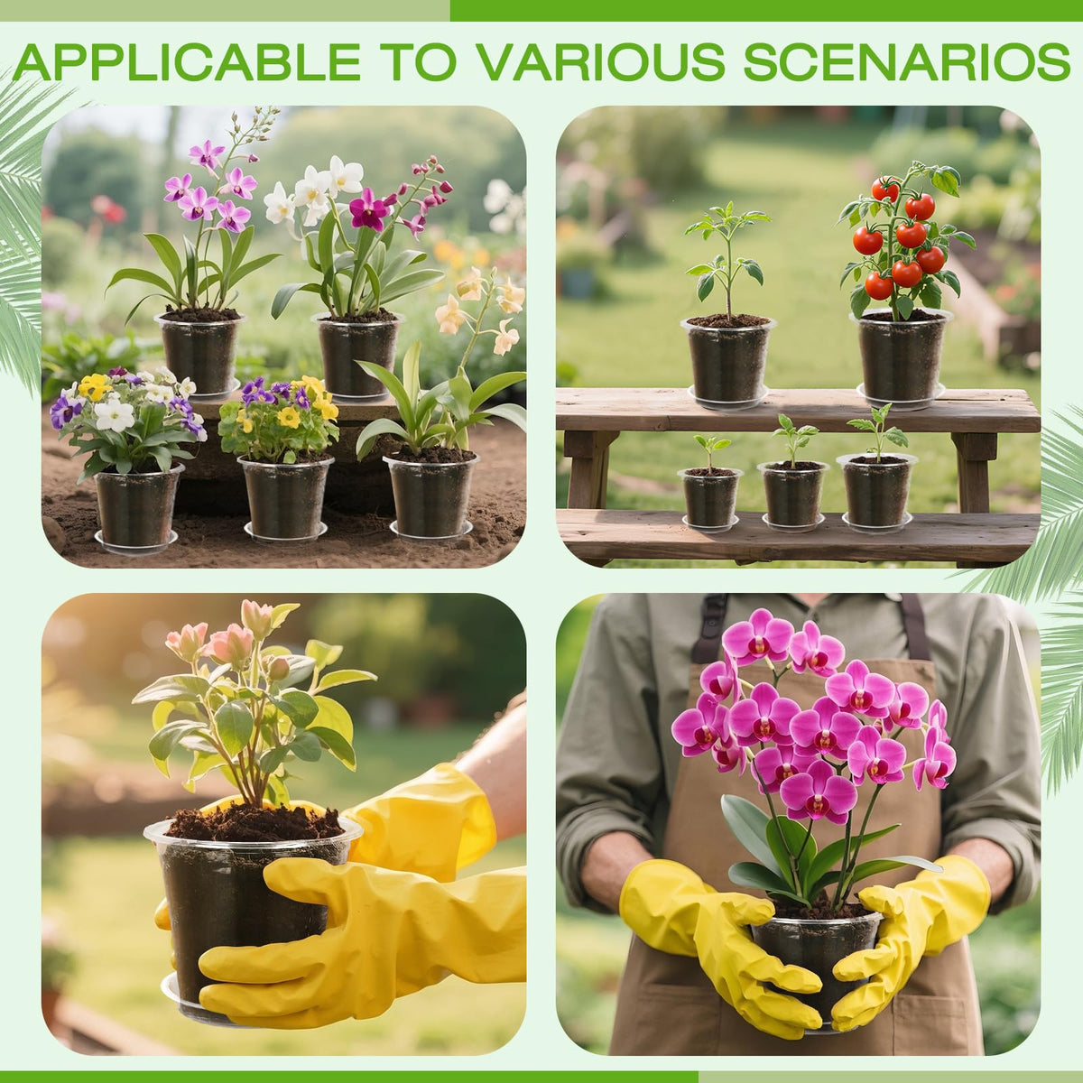 FUOAUYK professional gardening solution for nurseries and home gardens.