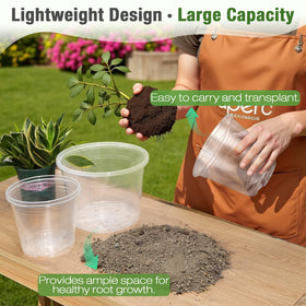 FUOAUYK root visibility through clear walls aids gentle monitoring.