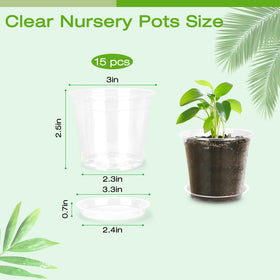 FUOAUYK transparent pot provides 360° root visibility for monitoring growth.