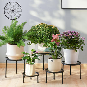 Furshus plant stand five sizes displays versatile pot arrangements for any room