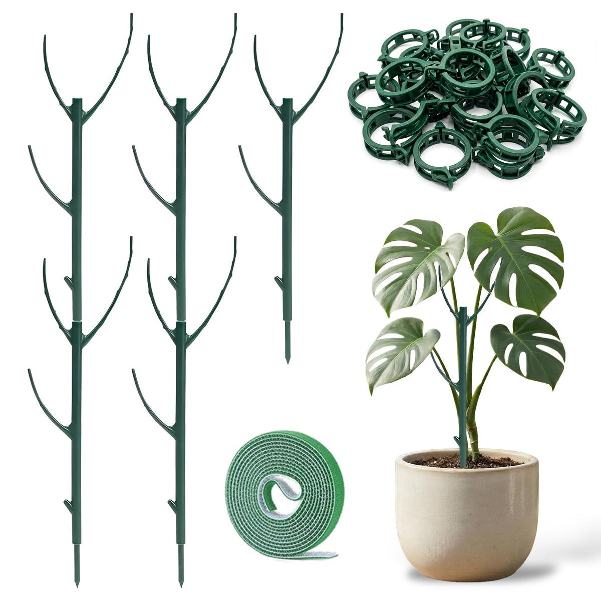 Fushichang Monstera stackable support assembly maintaining upright growth