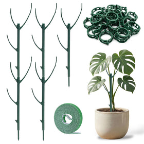 Fushichang Monstera stackable support assembly maintaining upright growth
