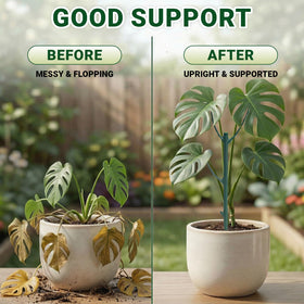 Fushichang Plant clips and garden tape kit for secure, damage-free fastening