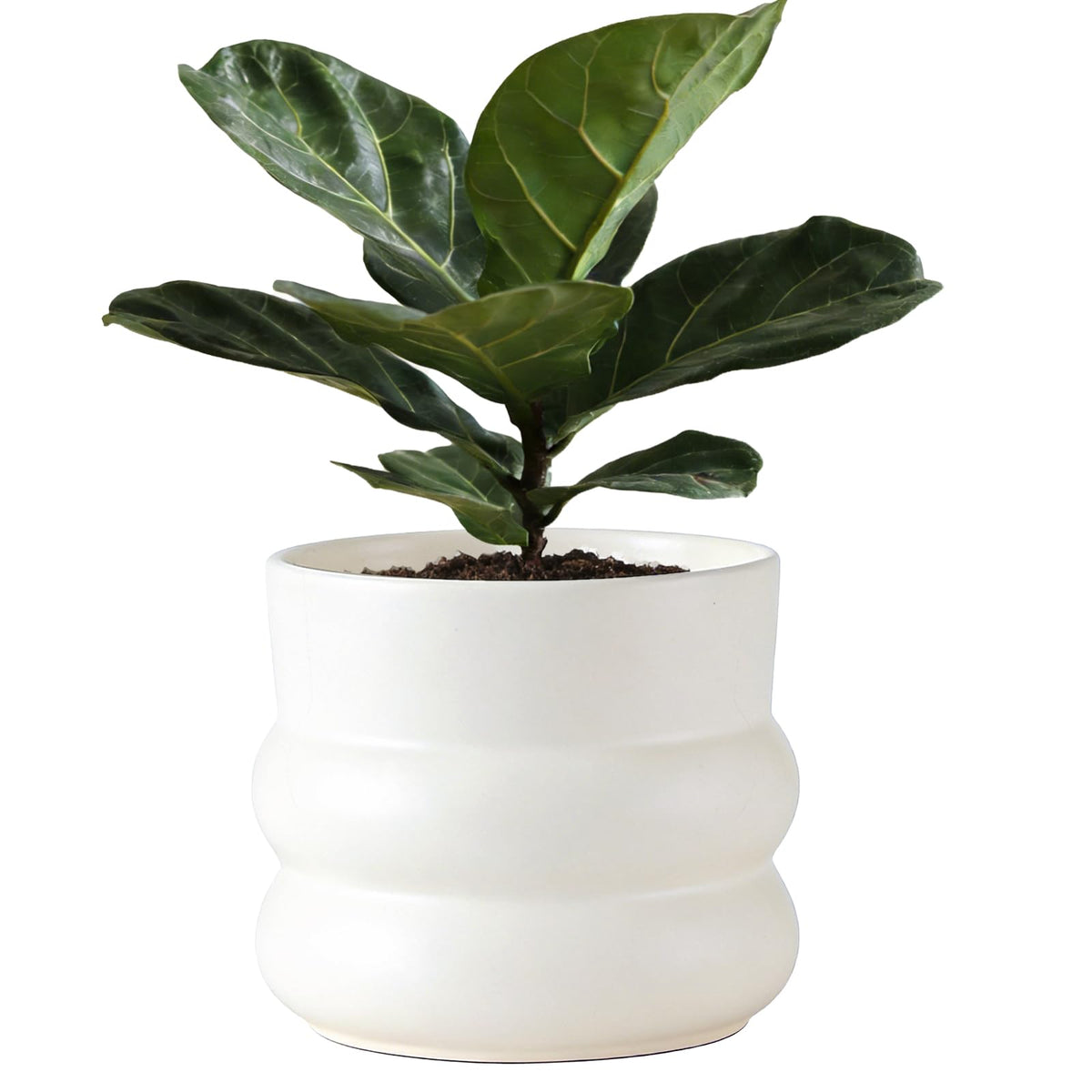 FUYHE 6-inch ceramic plant pot with drainage hole for healthy roots