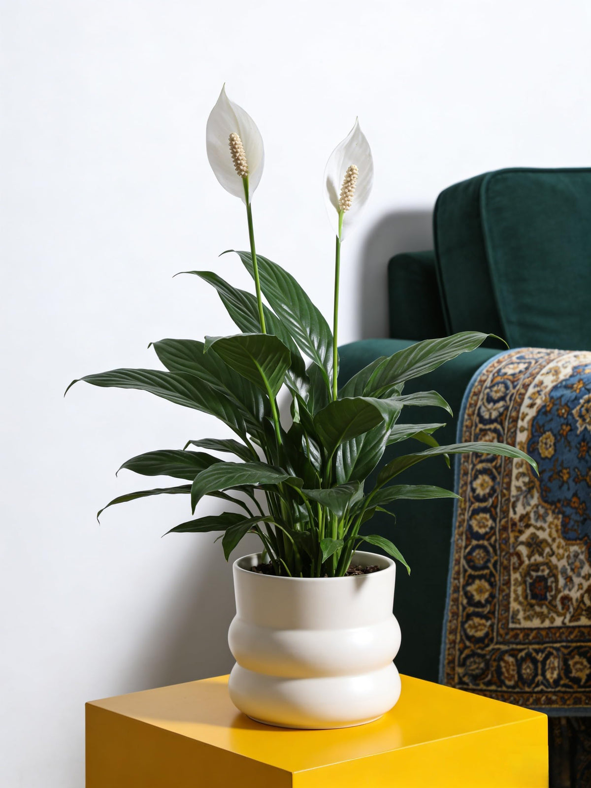 FUYHE donut-design ceramic pot offers stable base for growing plants