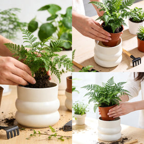 FUYHE pot complements modern home-office decor and greenery